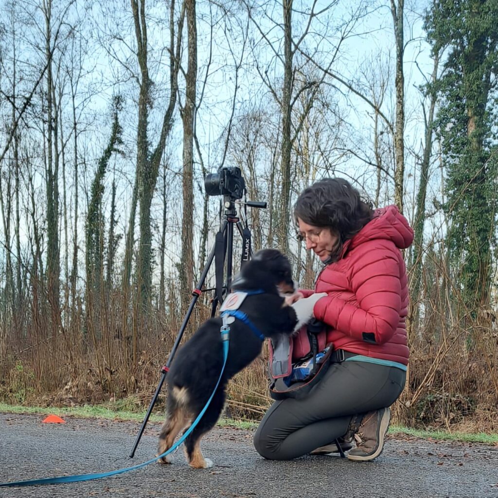 Émilie éducatrice canine spécialiste chiot à Annecy Seynod — Complici'Mots